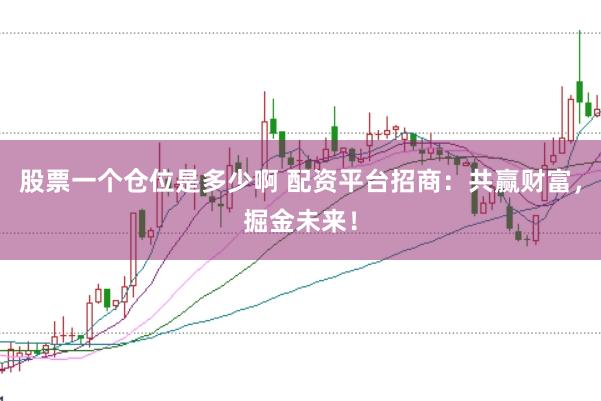 股票一个仓位是多少啊 配资平台招商：共赢财富，掘金未来！