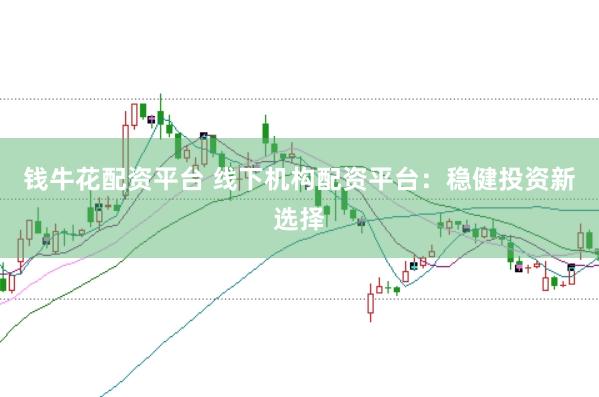 钱牛花配资平台 线下机构配资平台：稳健投资新选择