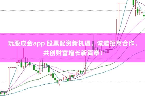 玩股成金app 股票配资新机遇，诚邀招商合作，共创财富增长新篇章！