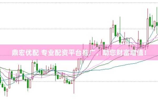 鼎宏优配 专业配资平台推广，助您财富增值！
