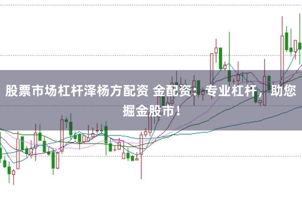 股票市场杠杆泽杨方配资 金配资：专业杠杆，助您掘金股市！