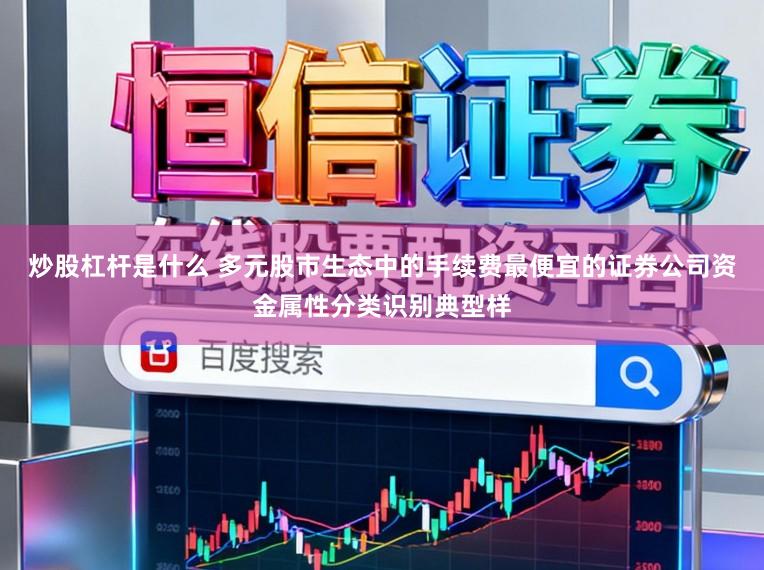 炒股杠杆是什么 多元股市生态中的手续费最便宜的证券公司资金属性分类识别典型样
